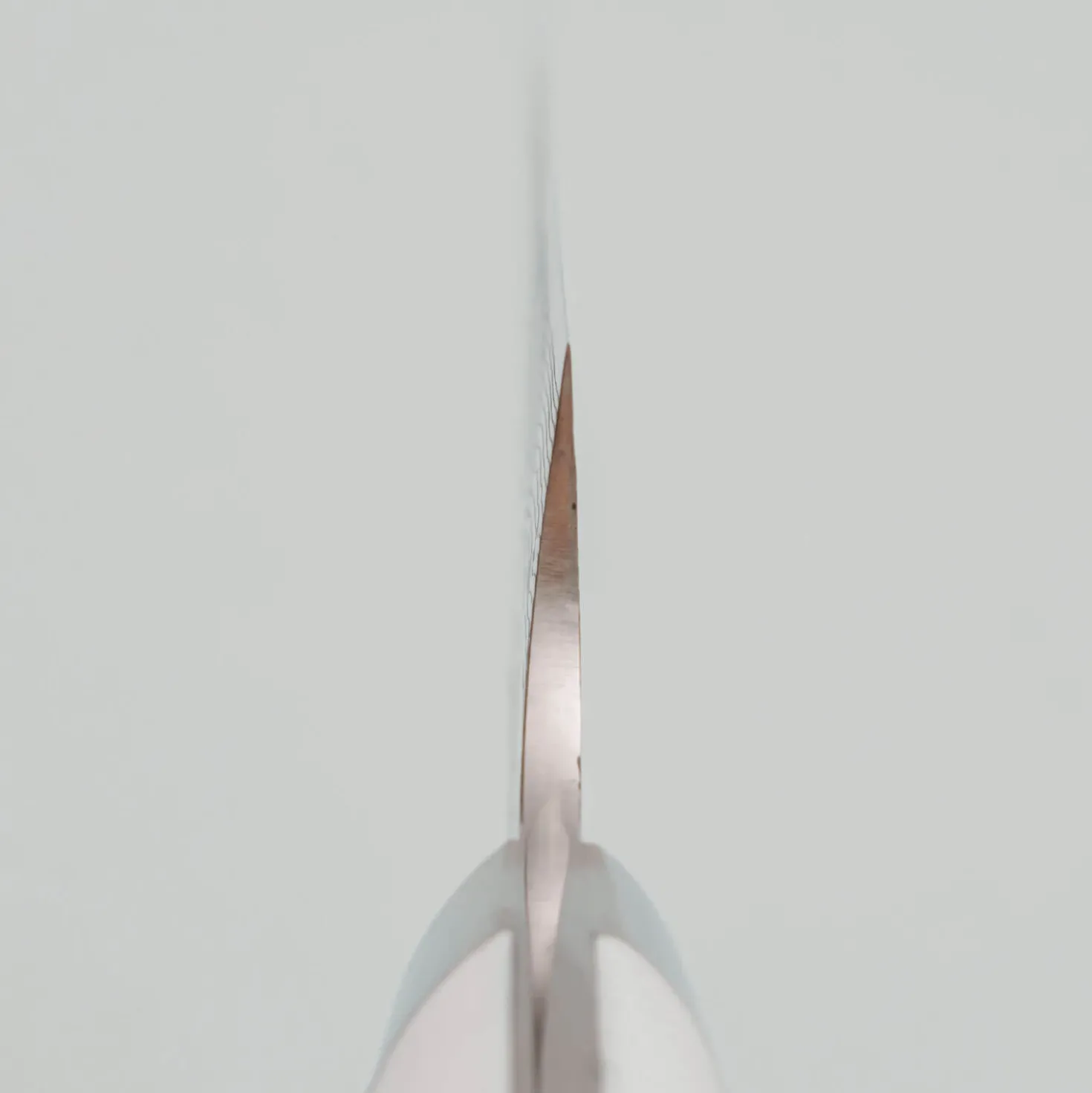 Takeshi Saji VG10 Diamond Finish Corian Sujihiki 24 cm