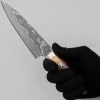 Takeshi Saji VG10 Nickel Damast Staghorn Petty 15 cm