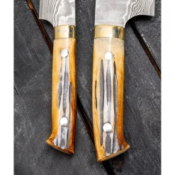 Takeshi Saji VG10 Nickel Damast Staghorn Santoku 18 cm