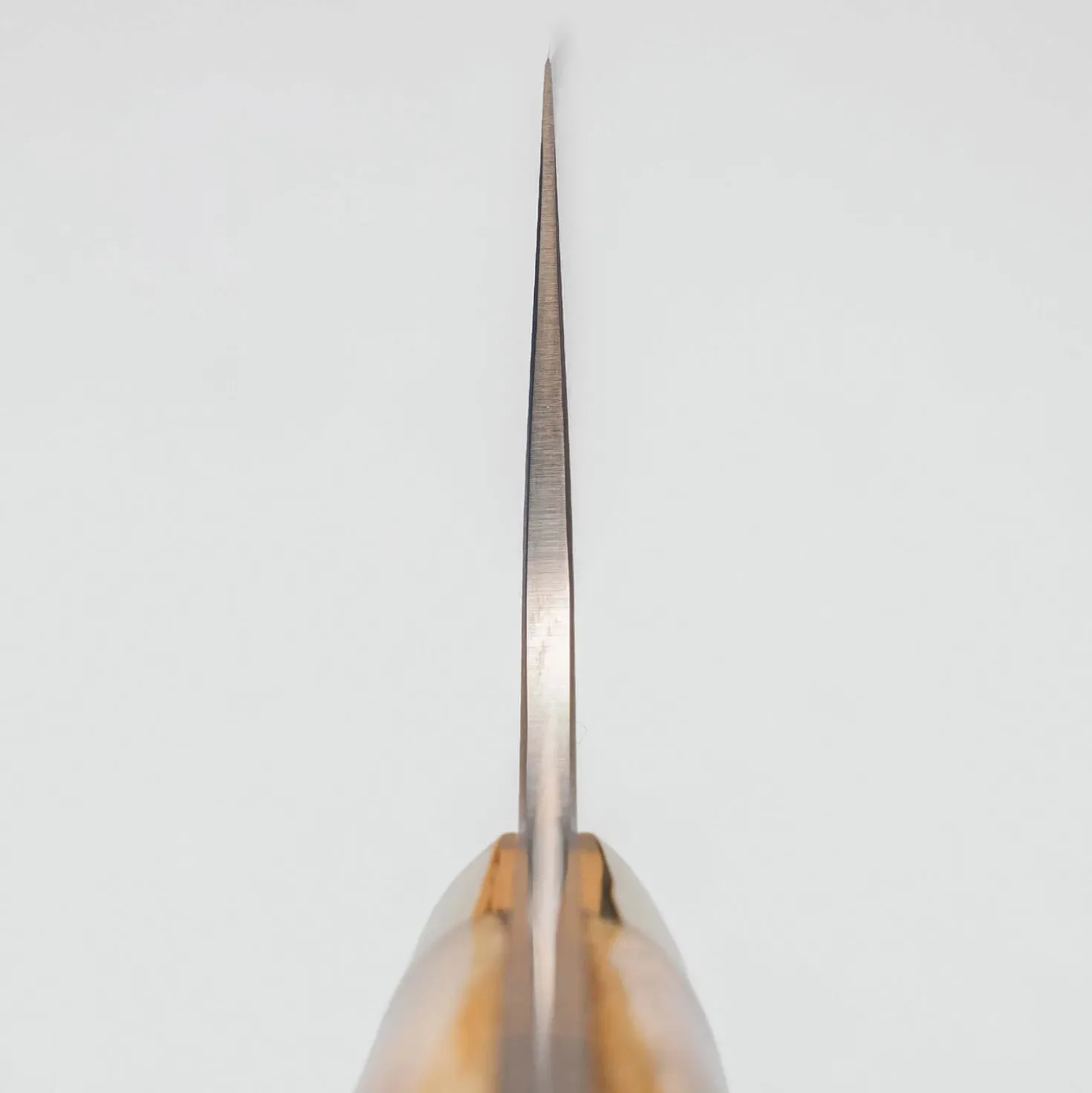 Takeshi Saji VG10 Nickel Damast Staghorn Bunka 17 cm