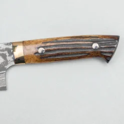 Takeshi Saji VG10 Nickel Damast Staghorn Bunka 17 cm