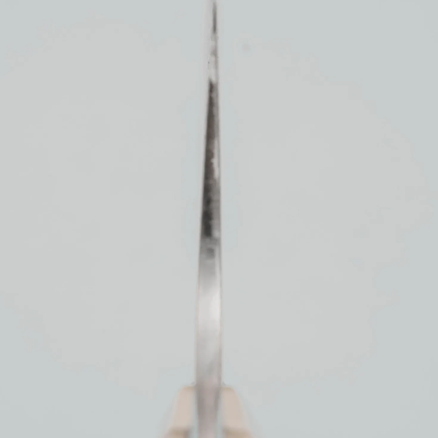 Takeshi Saji VG10 Nickel Damast Staghorn Gyuto 24 cm