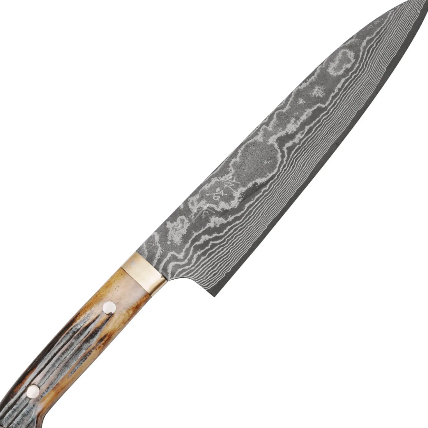 Takeshi Saji VG10 Nickel Damast Staghorn Gyuto 21 cm