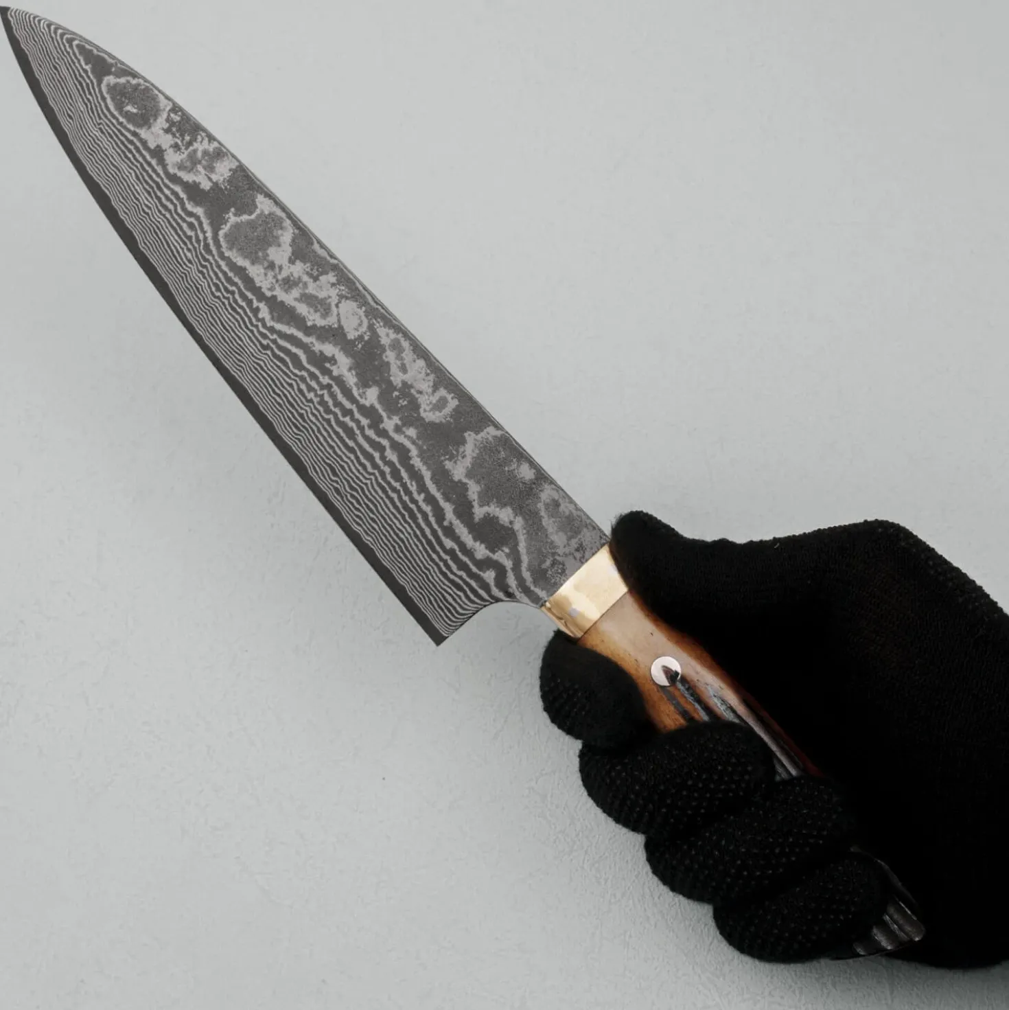 Takeshi Saji VG10 Nickel Damast Staghorn Gyuto 21 cm