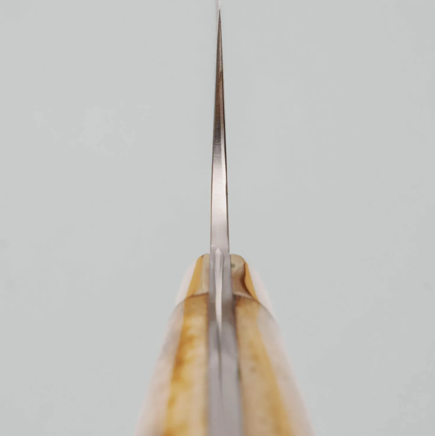 Takeshi Saji VG10 Nickel Damast Staghorn Gyuto 21 cm