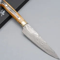 Takeshi Saji VG10 Nickel Damast Staghorn Gyuto 18 cm