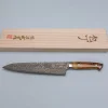 Takeshi Saji VG10 Rainbow Etched Cowhorn Gyuto 24 cm