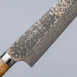 Takeshi Saji VG10 Rainbow Etched Cowhorn Gyuto 21 cm