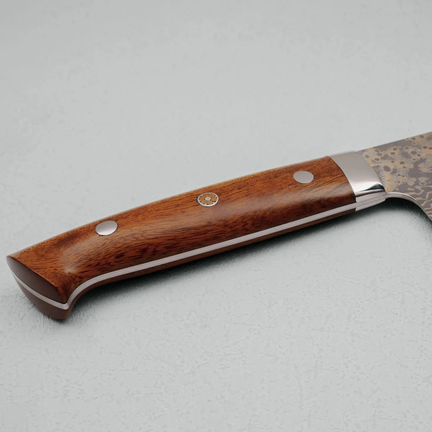 Takeshi Saji VG10 Rainbow Ironwood Gyuto 24 cm