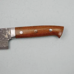 Takeshi Saji VG10 Rainbow Ironwood Gyuto 24 cm