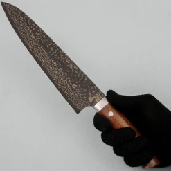 Takeshi Saji VG10 Rainbow Ironwood Gyuto 24 cm