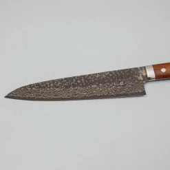 Takeshi Saji VG10 Rainbow Ironwood Gyuto 24 cm