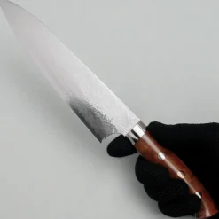 Takeshi Saji VG10 Rainbow Quince Gyuto 18 cm