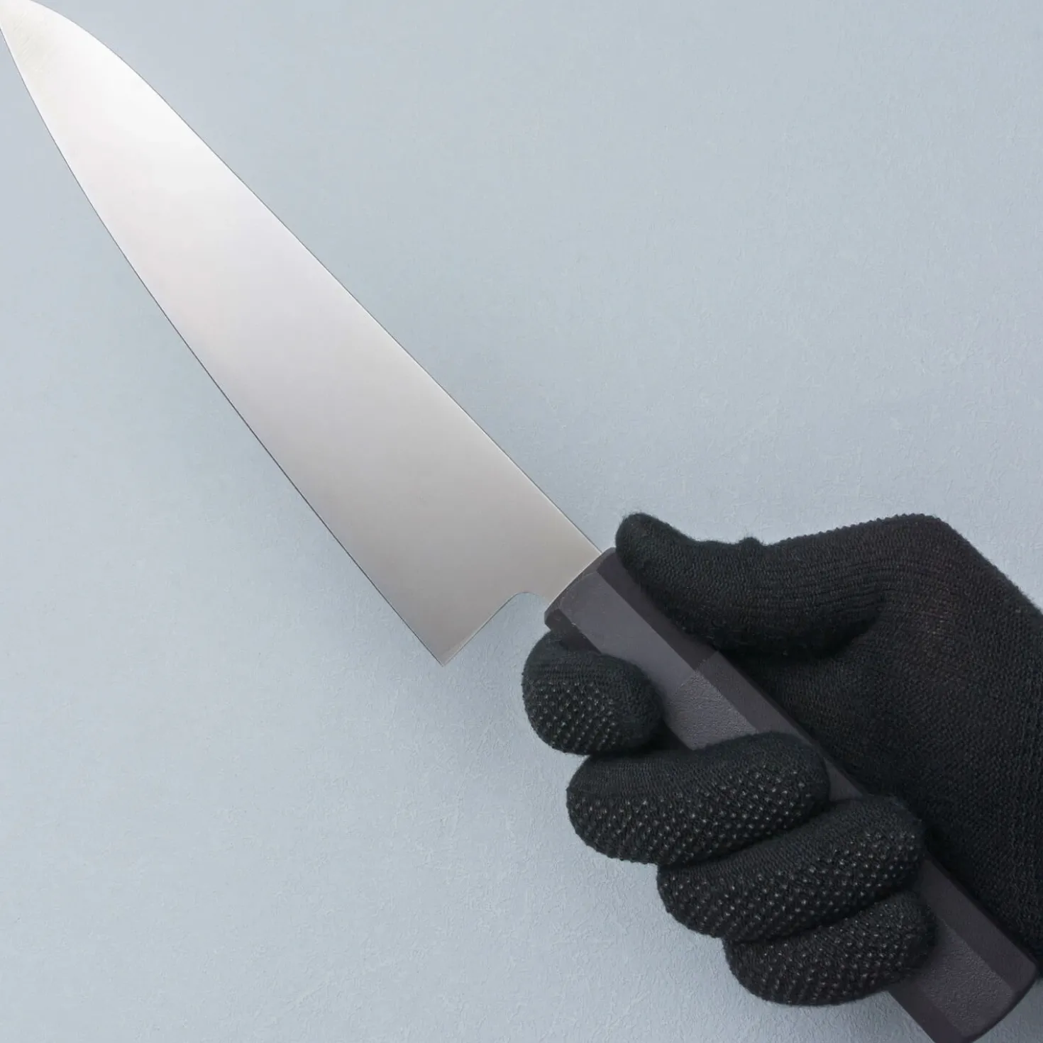 Tamahagane Molybdenum Gyuto 21 cm