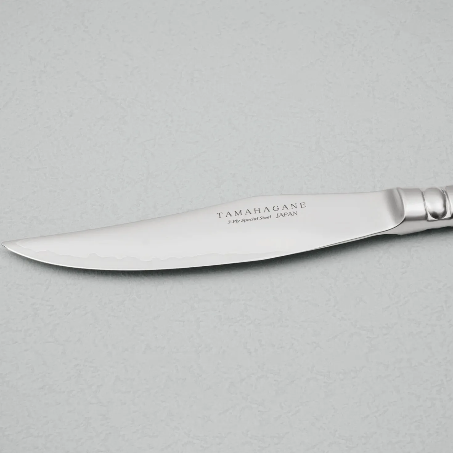 Tamahagane Stainless 3-Ply Steakset