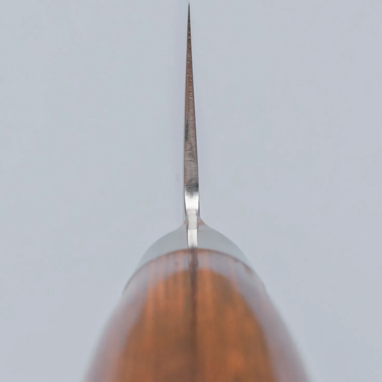 Tamahagane Tsubame Brown Gyuto 21 cm