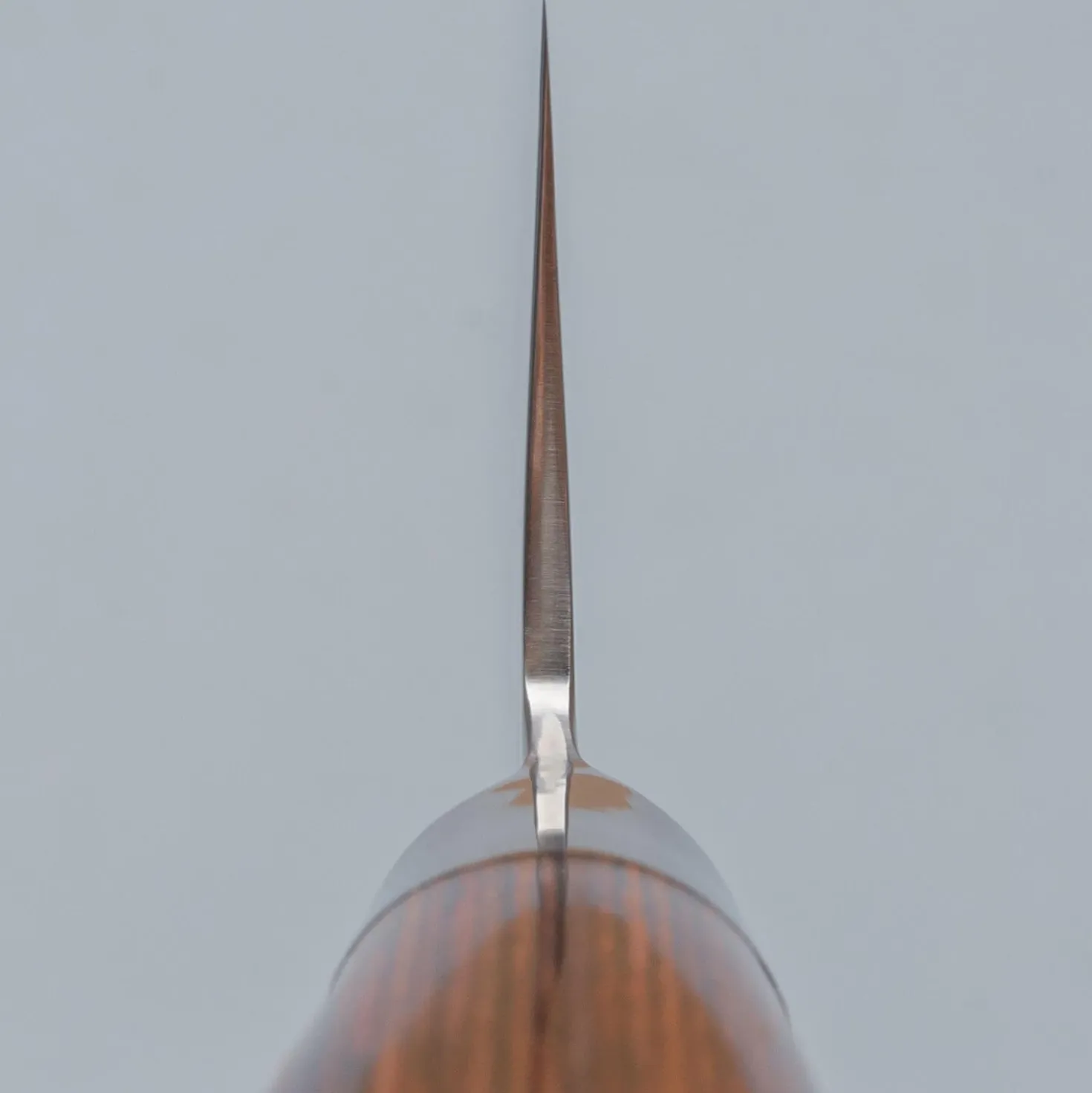 Tamahagane Tsubame Brown Gyuto 24 cm