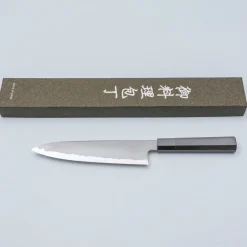 Tetsujin Hamono Aogami 2 Kasumi Gyuto 24 cm