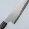 Tetsujin Hamono Aogami 2 Metal Flow Ebony Gyuto 210