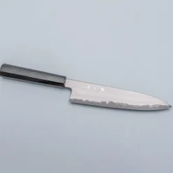 Tetsujin Hamono Aogami 2 Metal Flow Ebony Gyuto 210