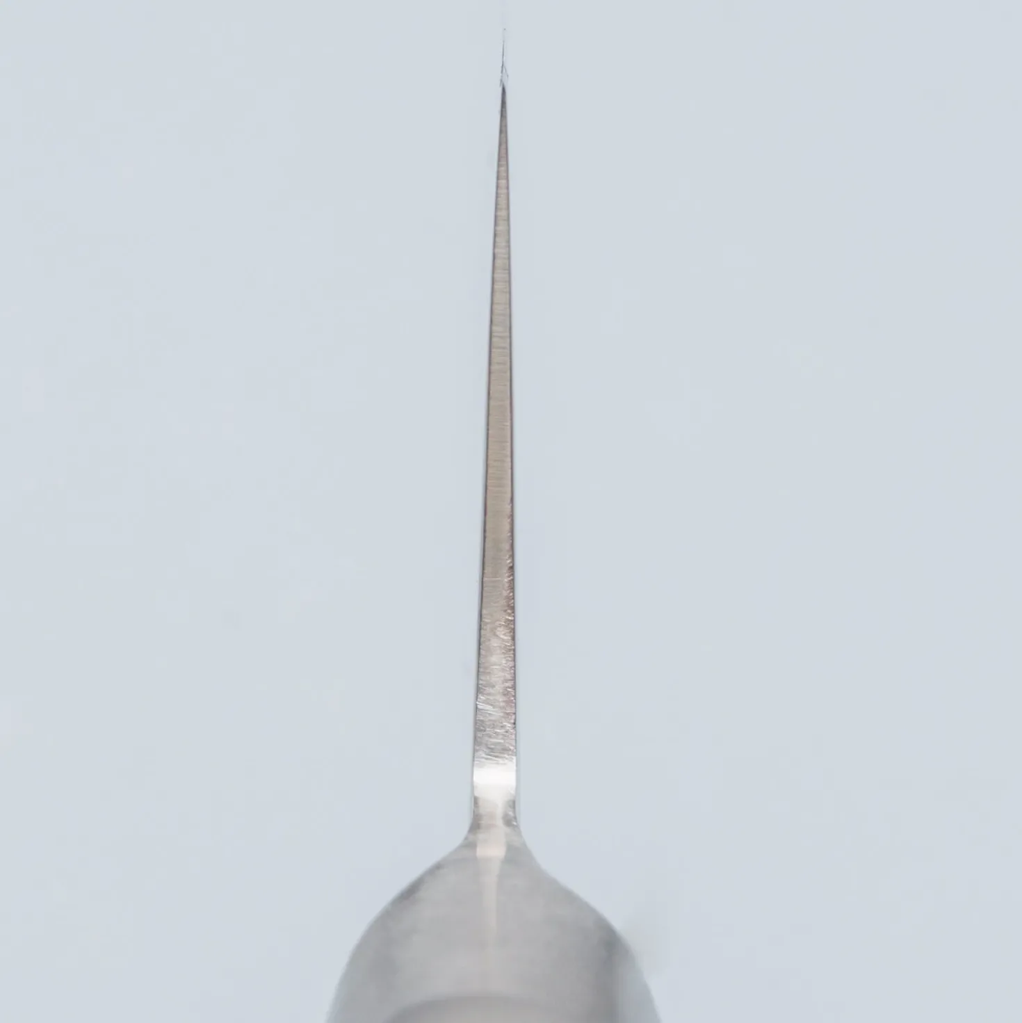 Tojiro Pro VG10 Gyuto 24 cm