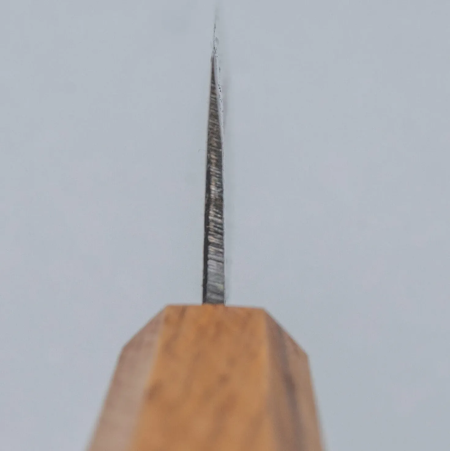 Tosa Tsukasa Shirogami Kurouchi Gyuto 21 cm