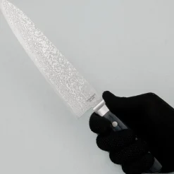 Toshitaka SG2 Damast Blue Gyuto 21 cm