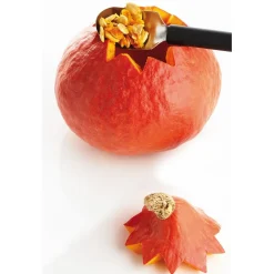 Triangle Fruitlepel