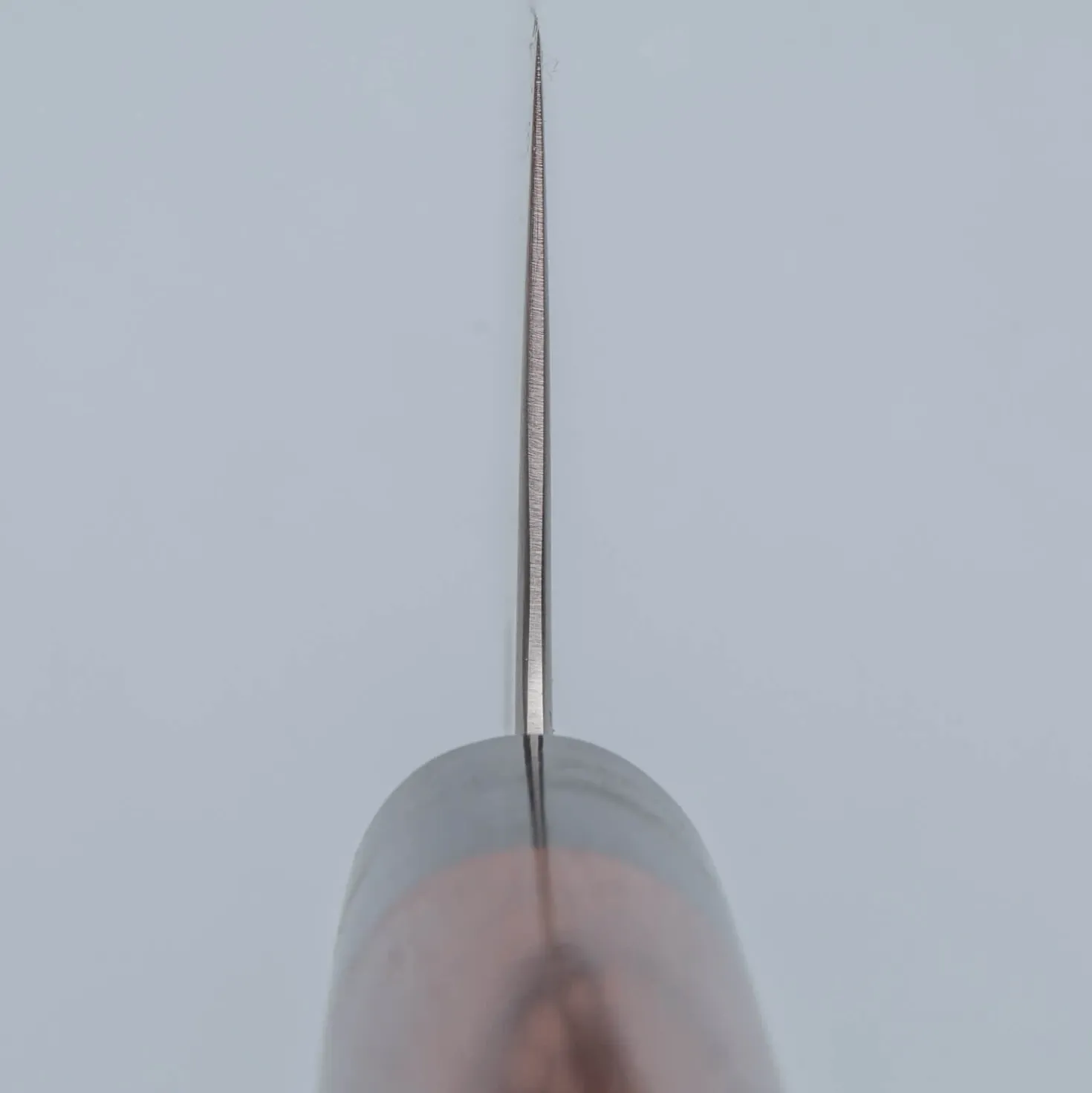 Tsunehisa Aogami Super Migaki Nakiri 17 cm