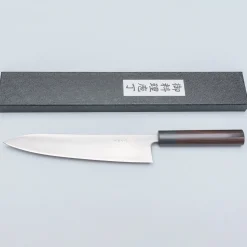 Tsunehisa Aogami Super Migaki Gyuto 24 cm