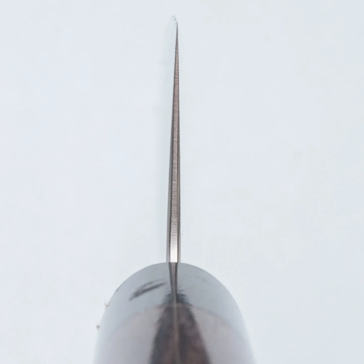 Tsunehisa Aogami Super Migaki Gyuto 24 cm