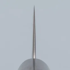 Tsunehisa Aogami Super Migaki Gyuto 21 cm