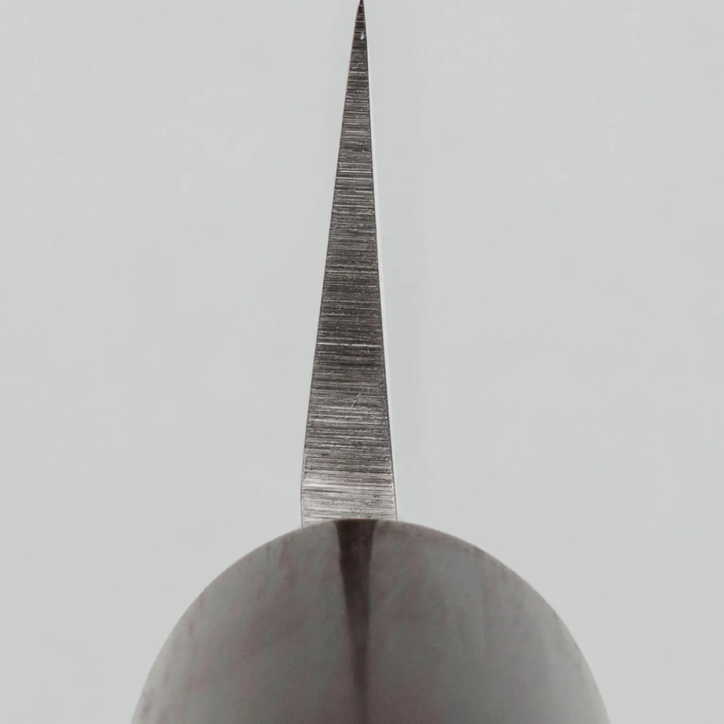 Tsunehisa AUS8 Rosewood Yanagiba 27 cm
