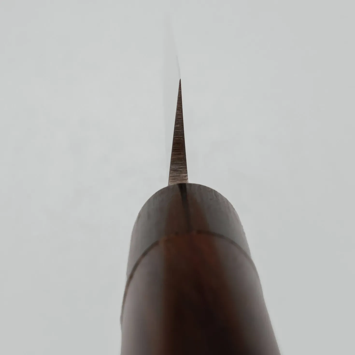 Tsunehisa AUS8 Rosewood Yanagiba 24 cm