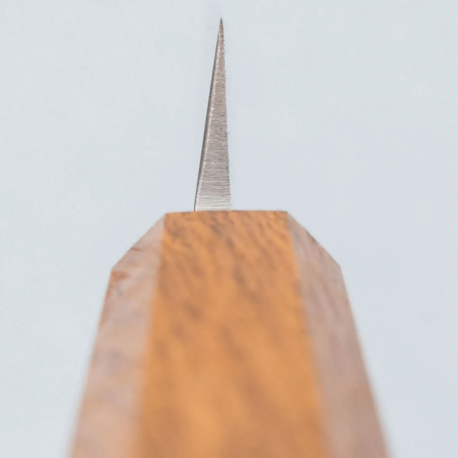 Tsunehisa AUS8 Yanagiba 21 cm