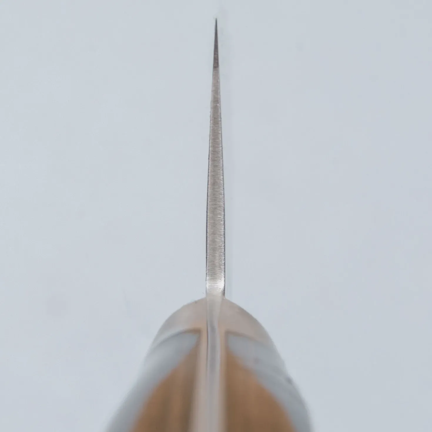 Tsunehisa Ginsan Nashiji Brown Gyuto 21 cm