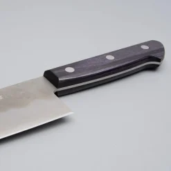 Tsunehisa Ginsan Nashiji Purple Gyuto 21 cm