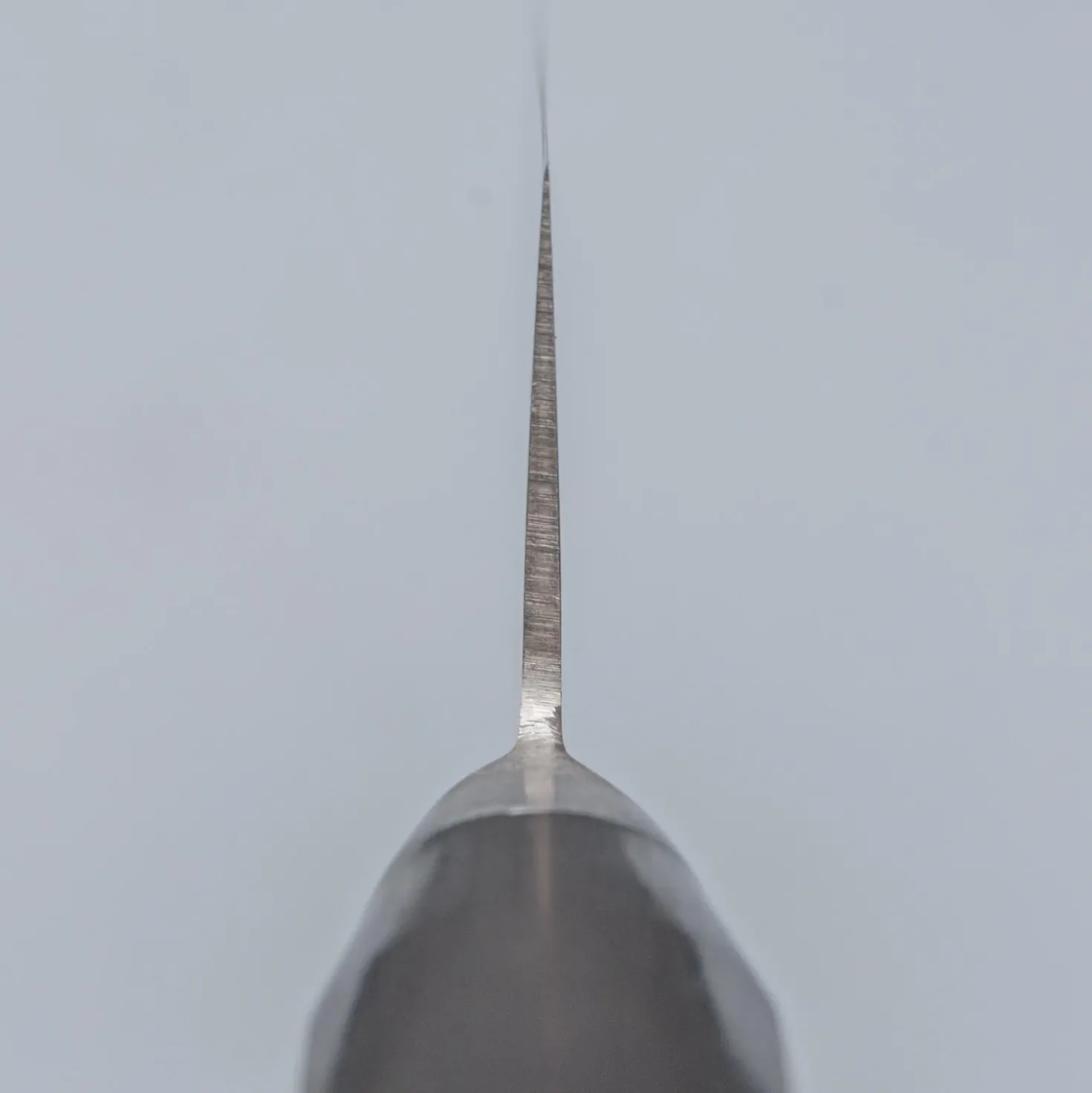 Tsunehisa 45 Layers Mirrored Gyuto 18 cm