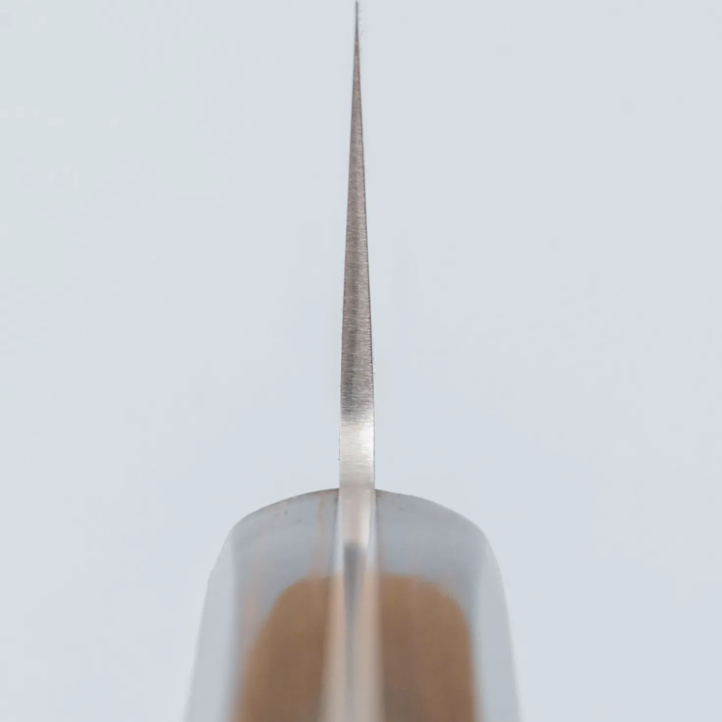 Tsunehisa SLD Migaki Brown Gyuto 21 cm