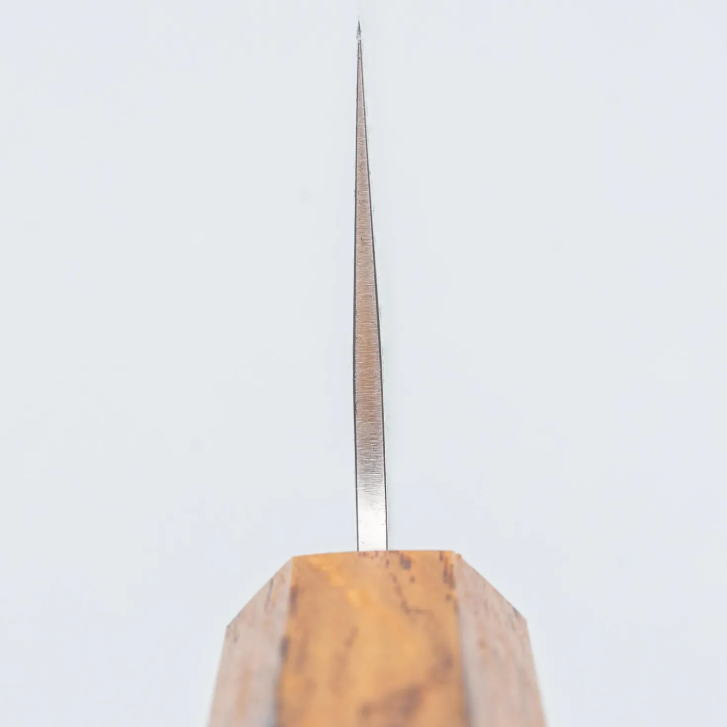 Tsunehisa SLD Nashiji Gyuto 24 cm