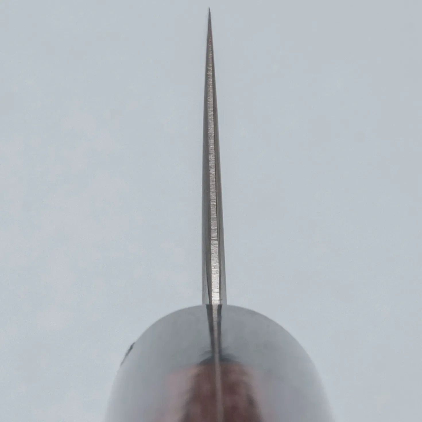 Tsunehisa SRS13 Migaki Bunka 17 cm