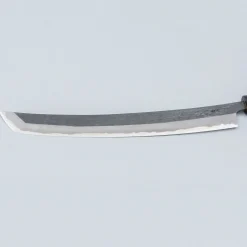 Tsunehisa Tosa Aogami Kurouchi Sakimaru 30 cm