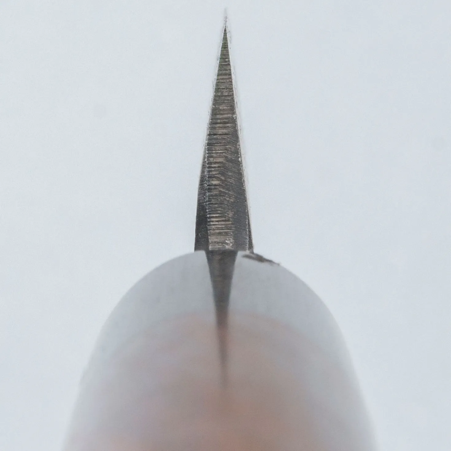 Tsunehisa Tosa Aogami Kurouchi Sakimaru 30 cm