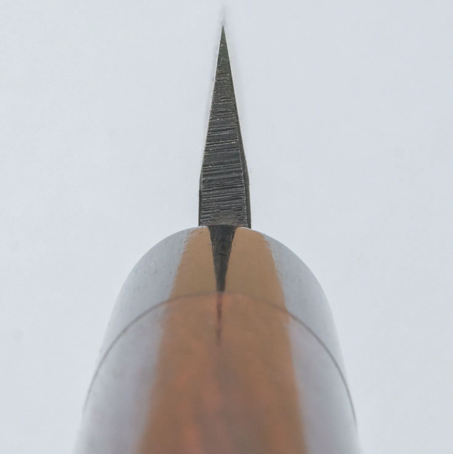 Tsunehisa Tosa Aogami Kurouchi Sakimaru 27 cm