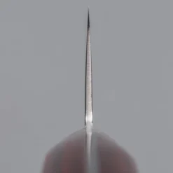 Tsunehisa VG-10 Damast 33 Layer Gyuto 21 cm