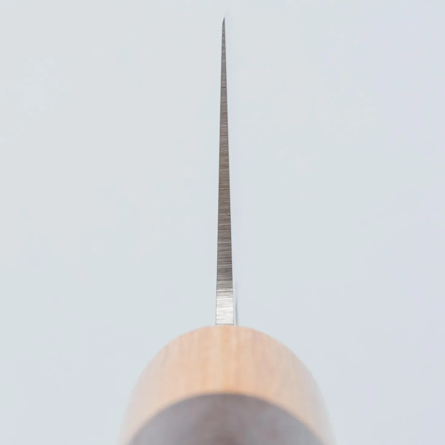 Tsunehisa VG1 Monosteel Gyuto 21 cm