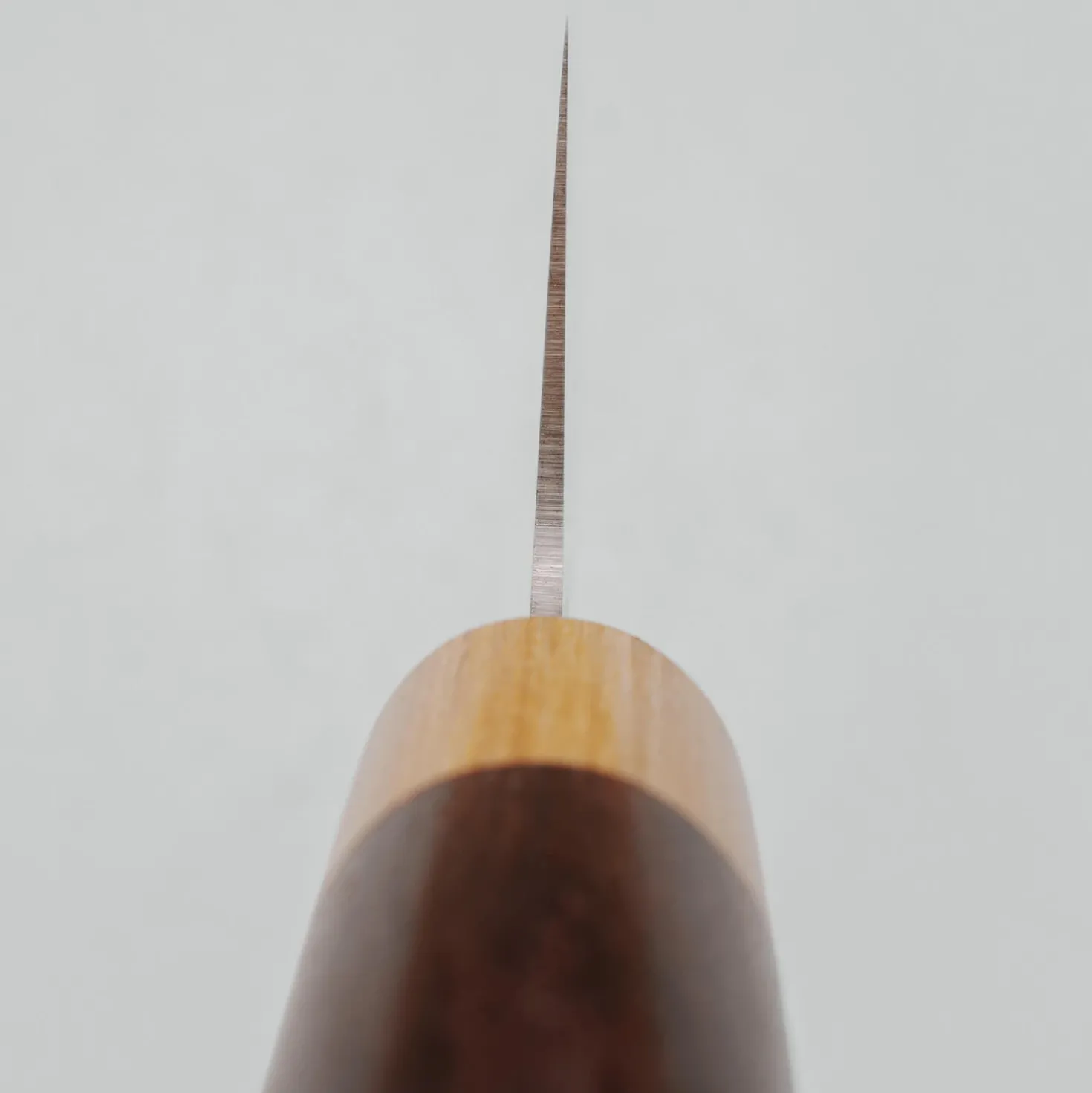 Tsunehisa VG1 Monosteel Gyuto 24 cm