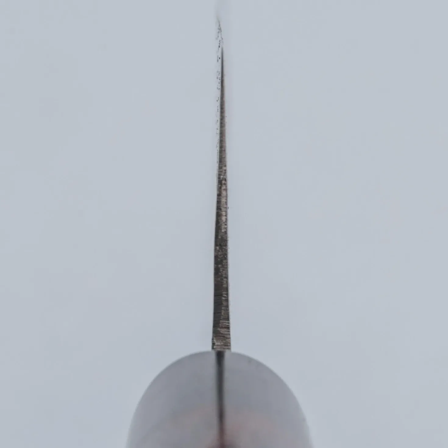 Tsutomu Kajiwara Aogami #2 Nakiri 16.5 cm