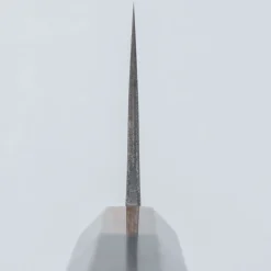 Wakui Shirogami #2 Ebony Santoku 16.5 cm