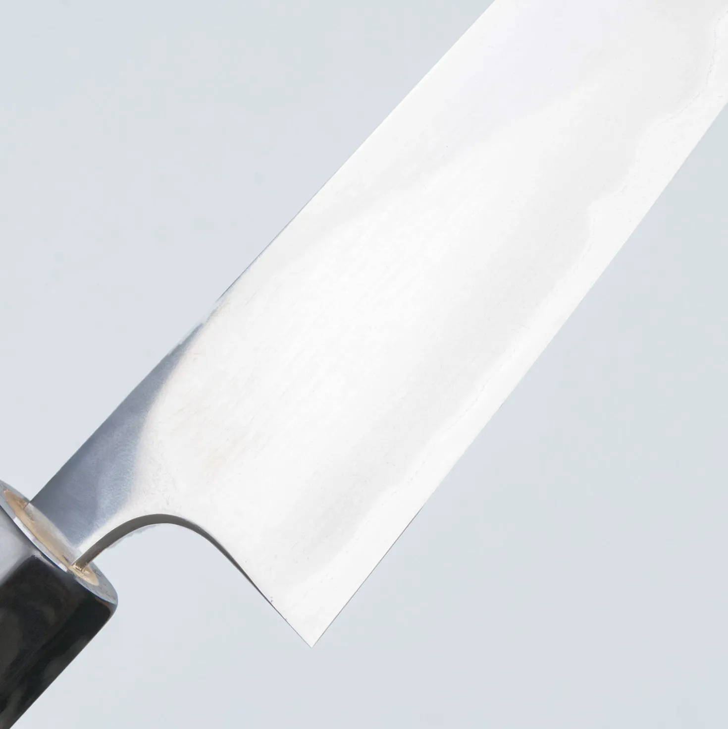 Wakui Shirogami #2 Gyuto 16.5 cm
